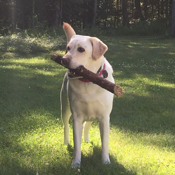 Thanks for visiting my closet! - Picture 7 of 11